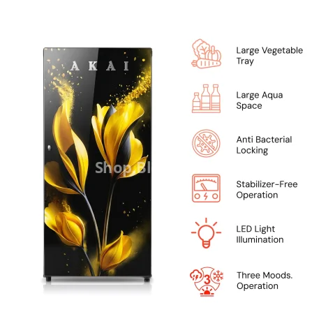 Akai 190L, 1 Star, Single Door Direct Cool Refrigerator (Glass Model Golden Flower) (AKDD2102-GGFB) 3