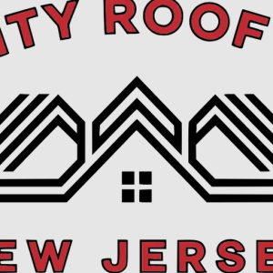 Quality Roof Pros